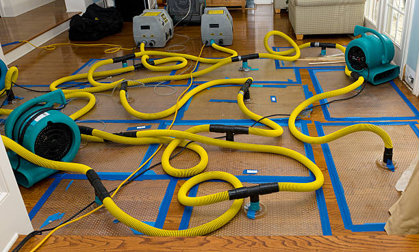 Professional Crawl Space Water Removal technician working in Venus, TX